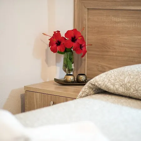 Akti Corali Hotel 3*